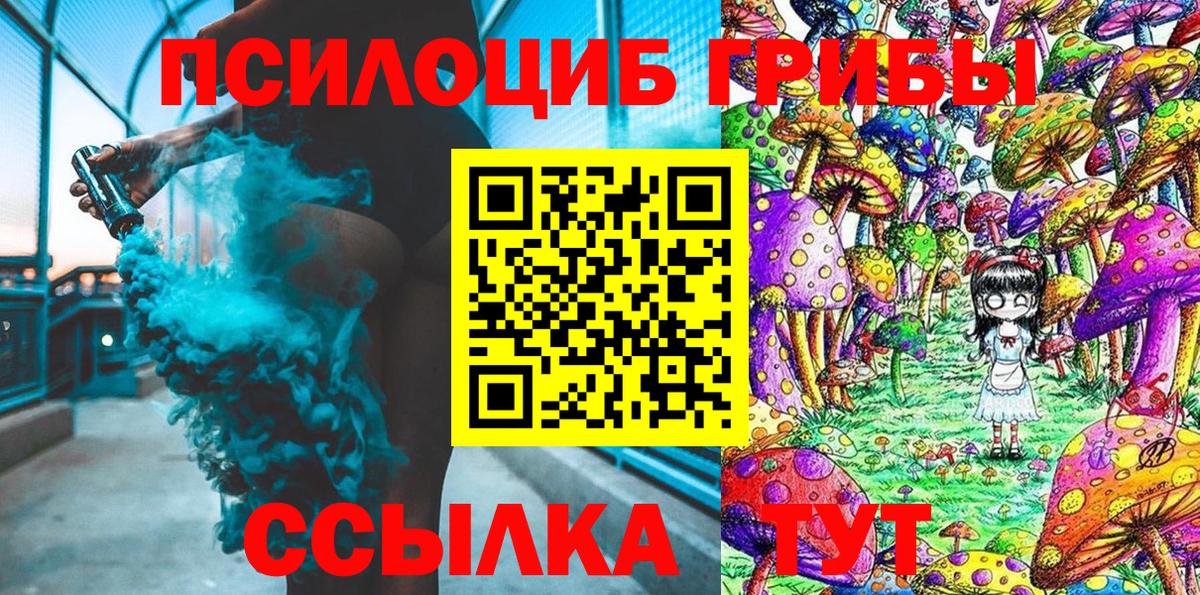 Пенза  закладки  Вход с VPN  Псилоцибиновые грибы ЛСД  Галлюциногенные грибы ЛСД 